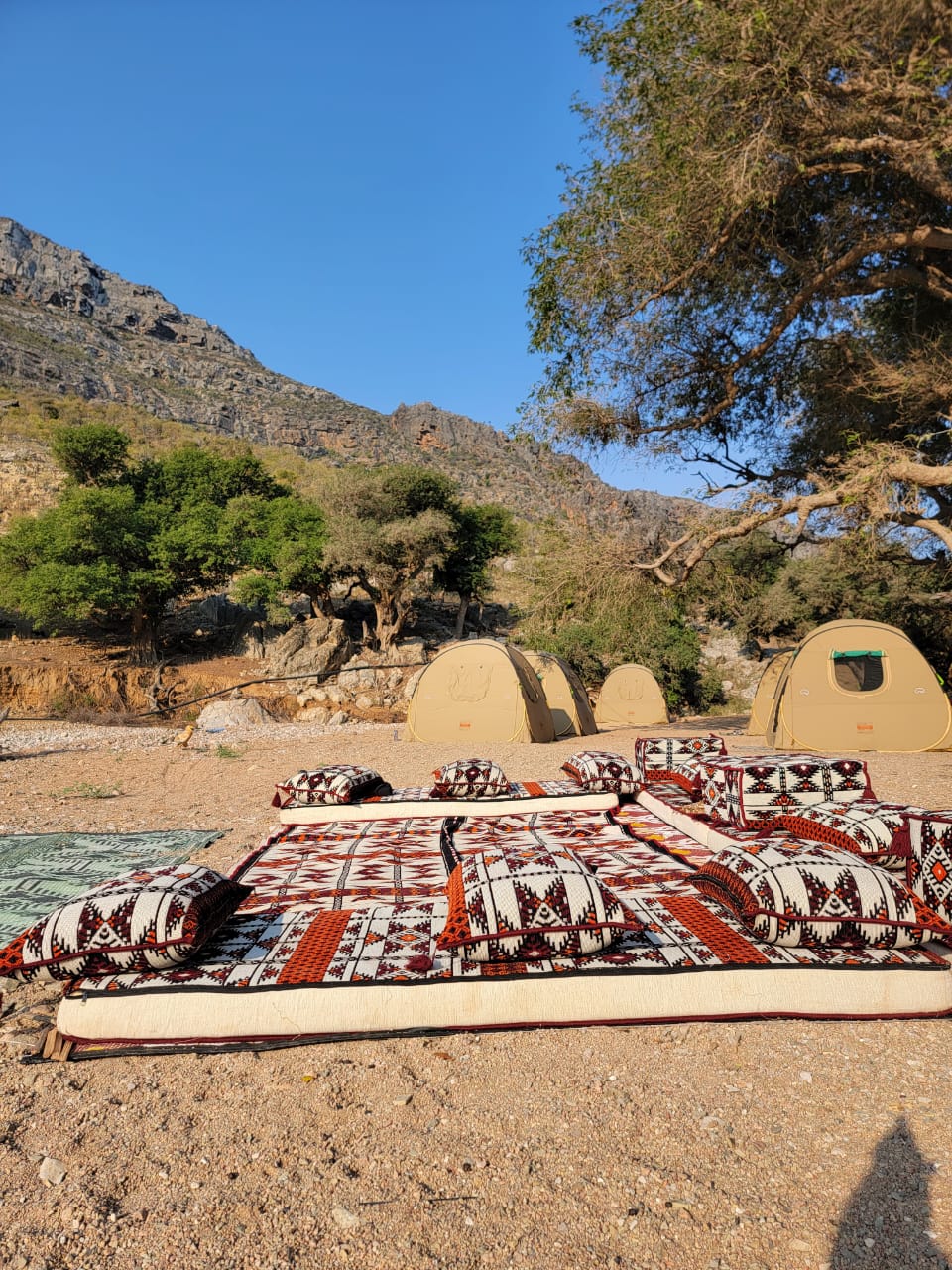 <p><span style="background-color: rgb(254, 254, 224); color: rgb(0, 0, 0);">Viaggio a Socotra</span></p>